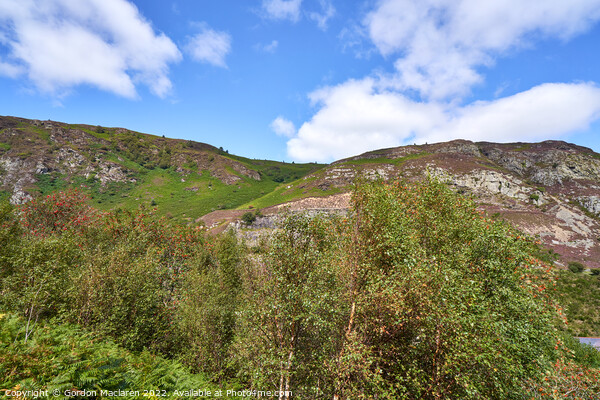 Elan Valley Scenery, Mid Wales Picture Board by Gordon Maclaren