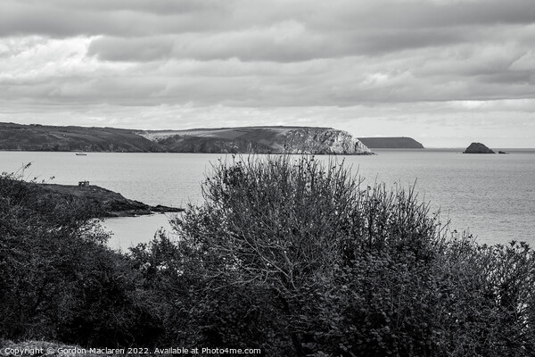 Roseland Peninsula, Cornwall, Monochrome Picture Board by Gordon Maclaren