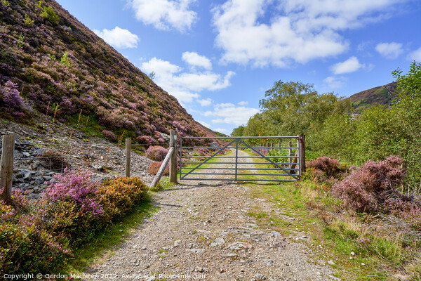 Old road in the Elan Valley, Powys, Wales Picture Board by Gordon Maclaren