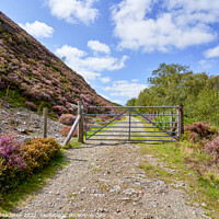 Buy canvas prints of Old road in the Elan Valley, Powys, Wales by Gordon Maclaren