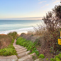 Buy canvas prints of The path down to Carbis Bay beach, Cornwall by Gordon Maclaren