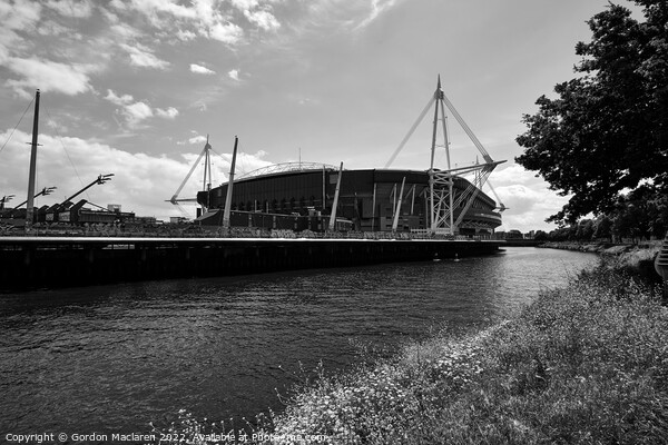 The Principality Stadium, Cardiff Picture Board by Gordon Maclaren