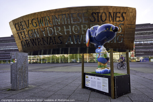 Millennium Centre Arts Complex Cardiff Bay Picture Board by Gordon Maclaren