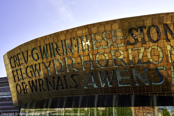 Wales Millennium Arts Centre Cardiff Bay Picture Board by Gordon Maclaren