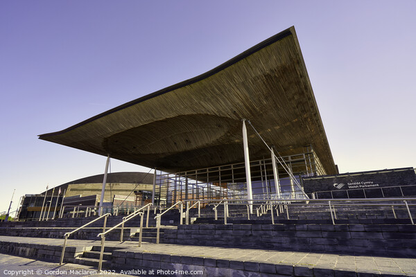 The Senedd Building Cardiff Bay Picture Board by Gordon Maclaren