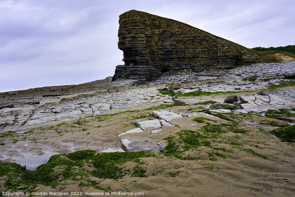 The Sphinx Rock, Nash Point, South wales Picture Board by Gordon Maclaren