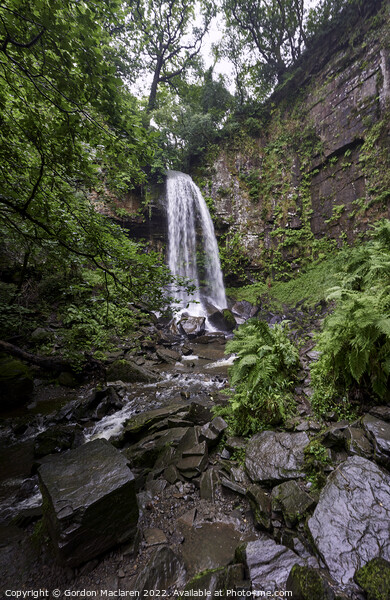 Melincourt Falls, Resolven, Neath, South Wales Picture Board by Gordon Maclaren