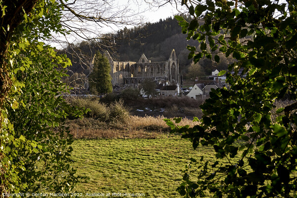 Tintern Abbey, Monmouthshire, Wales, UK Picture Board by Gordon Maclaren