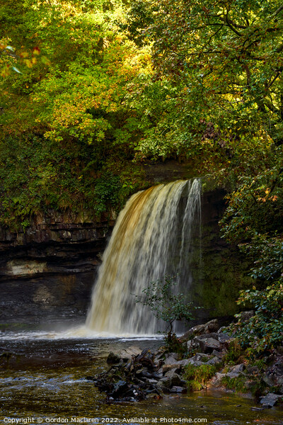 Autumn at Sgwd Gwladys waterfall, Pontneddfechan Picture Board by Gordon Maclaren