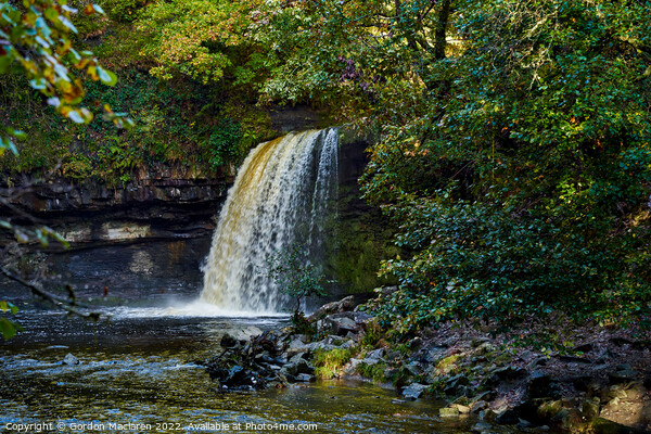 Autumn at Sgwd Gwladys waterfall, Pontneddfechan Picture Board by Gordon Maclaren