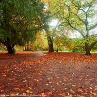Buy canvas prints of Autumn in Bute Park, Cardiff, South Wales by Gordon Maclaren