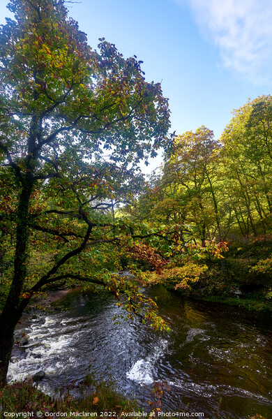 Autumn, Afon Pyrddin, Pontneddfechan, Neath, South Wales Picture Board by Gordon Maclaren