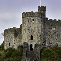 Buy canvas prints of Cardiff Castle and a Dragon by Gordon Maclaren