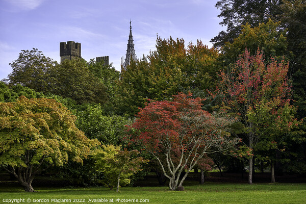 Cardiff Castle in Autumn from Bute Park, South Wal Picture Board by Gordon Maclaren