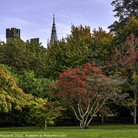 Buy canvas prints of Cardiff Castle in Autumn from Bute Park, South Wal by Gordon Maclaren