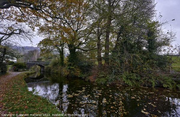 Bridge over the Brecon & Monmouthshire Canal Picture Board by Gordon Maclaren