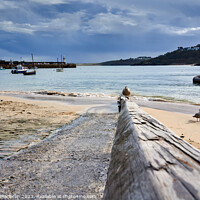 Buy canvas prints of Approaching Gull, St Ives Cornwall by Gordon Maclaren