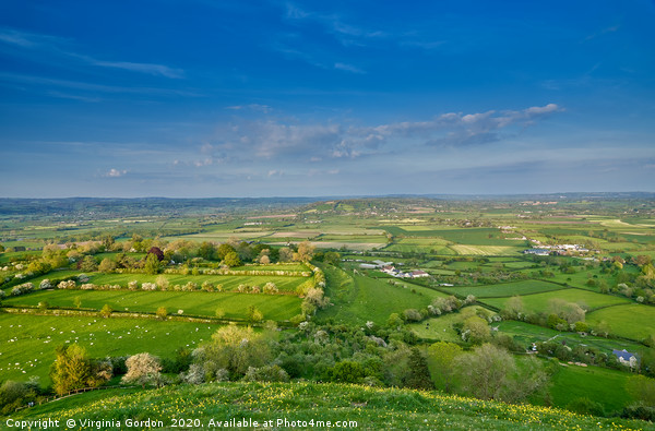 Somerset Levels from Glastonbury Tor Picture Board by Gordon Maclaren