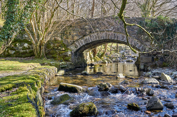 An old bridge near Cader Idris Picture Board by Gordon Maclaren