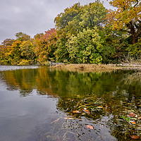 Buy canvas prints of Autumn on the River Severn by Gordon Maclaren