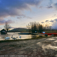 Buy canvas prints of Sunset and Swans, Llangorse Lake by Gordon Maclaren