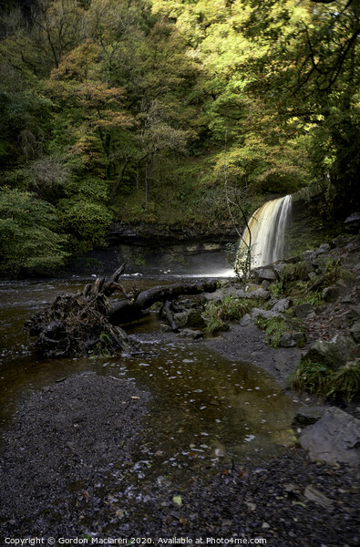 Sgwd Gwladys Waterfall, Brecon Beacons National Park Picture Board by Gordon Maclaren