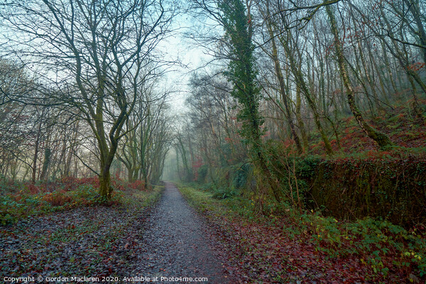 Path in to the mist Picture Board by Gordon Maclaren