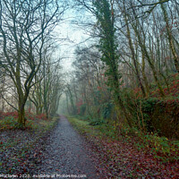 Buy canvas prints of Path in to the mist by Gordon Maclaren