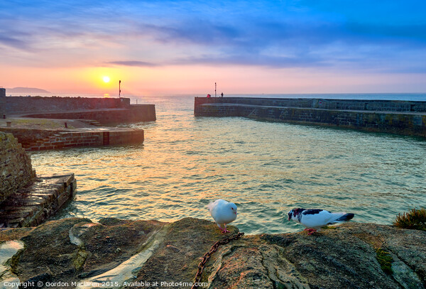 Doves and a Sunrise, Charlestown Cornwall Picture Board by Gordon Maclaren
