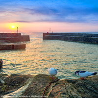 Buy canvas prints of Doves and a Sunrise, Charlestown Cornwall by Gordon Maclaren