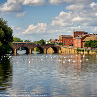 Buy canvas prints of Swans in front of Worcester Bridge by Gordon Maclaren