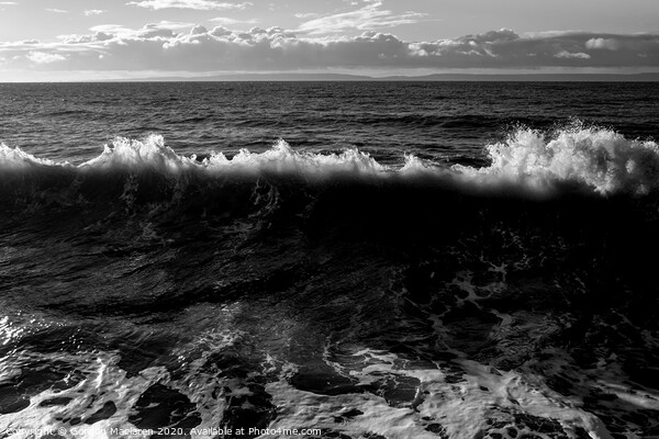 Wave in Black and White Picture Board by Gordon Maclaren