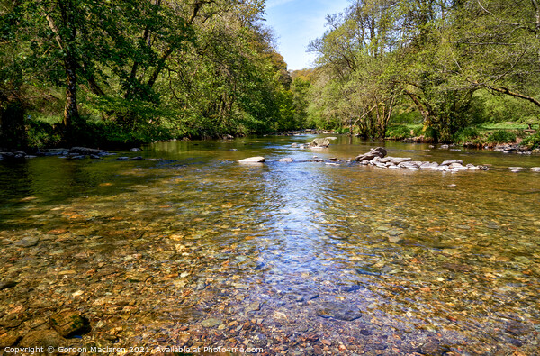 River Barle, Exmoor National Park, Somerset Picture Board by Gordon Maclaren