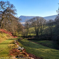 Buy canvas prints of The Path up to Cadair Idris, Snowdonia by Gordon Maclaren