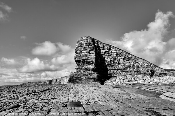 Nash Point Headland in Black and White Picture Board by Gordon Maclaren