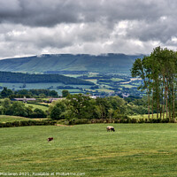 Buy canvas prints of Hay Bluff, the Black Mountains, Wales by Gordon Maclaren