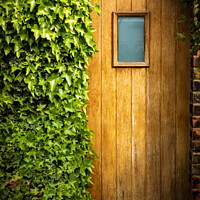 Buy canvas prints of Wooden door half overgrown by ivy by Christina Hemsley