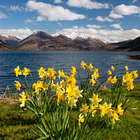 Buy canvas prints of Five Sisters of Kintail in Spring Scotland by Barbara Jones