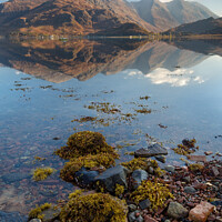 Buy canvas prints of Loch Duich Five Sisters of Kintail Reflection  by Barbara Jones