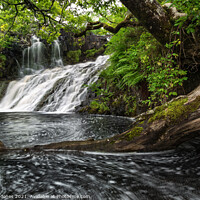Buy canvas prints of Eas Fors Middle Falls Isle of Mull Inner Hebrides  by Barbara Jones