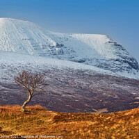 Buy canvas prints of Quinag and The Rowan Tree in Winter, Assynt.  by Barbara Jones