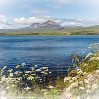 Buy canvas prints of Paps of Jura View, Port Askaig Islay Scotland by Barbara Jones
