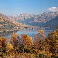 Buy canvas prints of Loch Duich from Mam Ratagan in Autumn  by Barbara Jones
