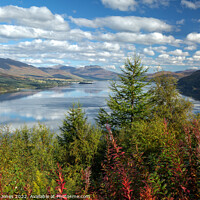 Buy canvas prints of Loch Carron Autumn Colours Scotland. by Barbara Jones