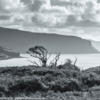 Buy canvas prints of Gribun across Loch na Keal Isle of Mull Scotland by Barbara Jones