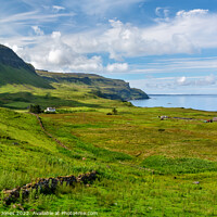 Buy canvas prints of Balmeanach View in Summer Isle of Mull Scotland by Barbara Jones