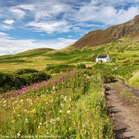 Buy canvas prints of Howlin House A Summer Meadow on the Isle of Eigg by Barbara Jones