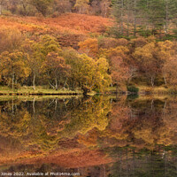 Buy canvas prints of Highland Lochan, Autumn Colours, Scotland. by Barbara Jones