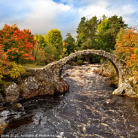 Buy canvas prints of Carrbridge Packhorse Bridge Cairngorms NP Scotland by Barbara Jones