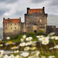 Buy canvas prints of Eilean Donan Castle and  Summer Flowers, Scotland. by Barbara Jones